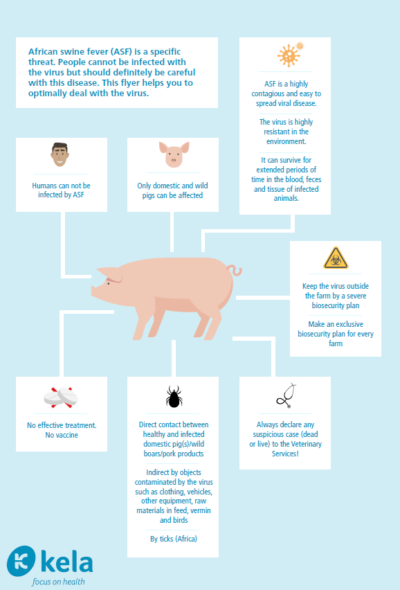 African Swine Fever: a challenge for pig producers in Europe, Asia and  Africa - Kela Health